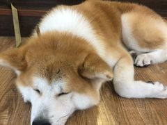 -YCHL Studios健身工作室(市二宫店)
