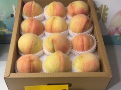 -老袁家蜜桃农场·阳山水蜜桃