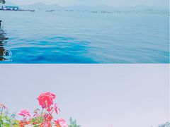 -西湖外事游船(花港观鱼码头)