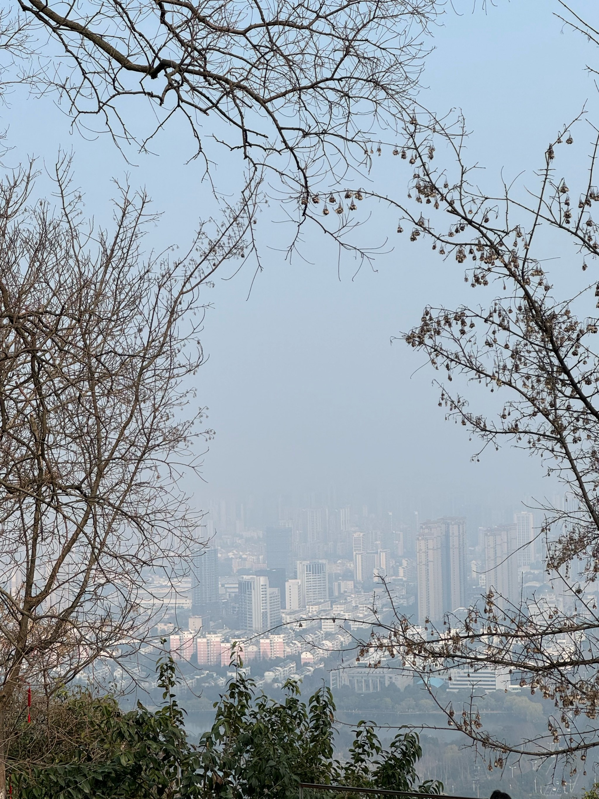 大蜀山上吊图片