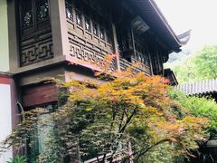 -十八棵（老龙井）御茶园(老龙井店)