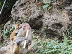 -环翠峪风景区