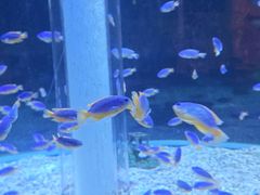 -海合安成都极地海洋公园