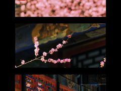 -颐和园