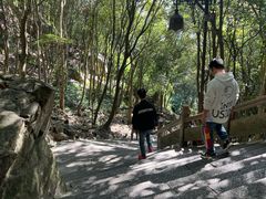 -普陀山风景区-佛顶山