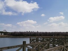 -上海都市菜园
