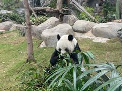 -香港海洋公园