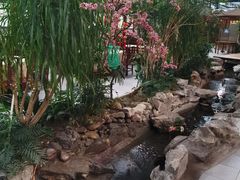 -森谷美食公园(杨行店)