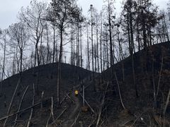 -缙云山景区