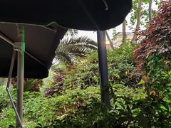 -川道拐耗儿鱼(旗舰店)
