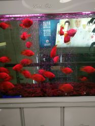 -成都军建医院·疤痕诊疗中心