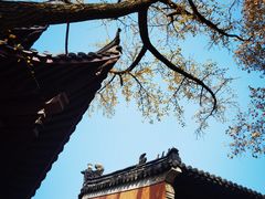 -灵谷景区