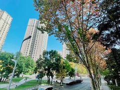 -重庆市江北嘴中央商务区中央公园