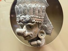 -美国自然历史博物馆