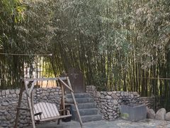 -清雅臻品·竹林院落·新派青岛菜(崂山店)