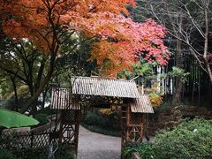 -上海市保健医疗中心