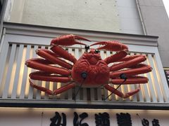 -蟹道乐(道顿堀本店)