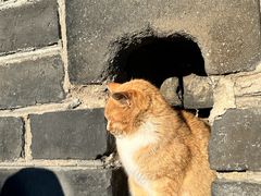 -慕田峪长城