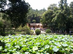 -韶山毛泽东同志故居