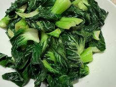 -佬肥猫(七宝宝龙店)