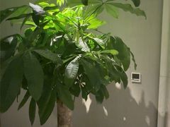 -浅深(世茂滨江精品店)