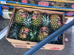 -东方鼎信农副产品交易中心