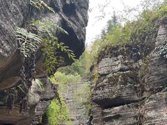 -梭布垭石林景区