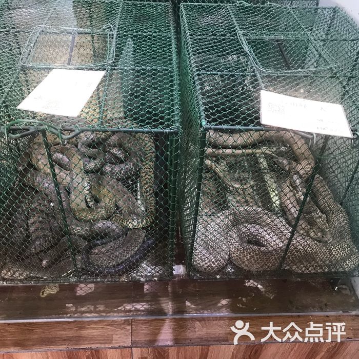 榕记·专注蛇宴