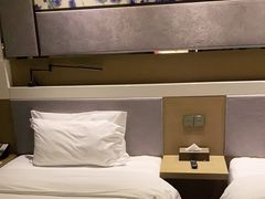 -麗枫酒店(武汉吴家山五环体育中心店)