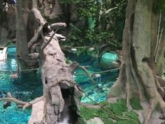 -福州罗源湾海洋世界旅游区