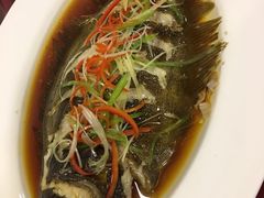 -小叶大馅饺子城