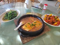 空心菜-兴隆槟榔园休闲农庄