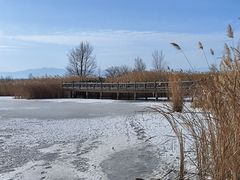 -野鸭湖国家湿地公园