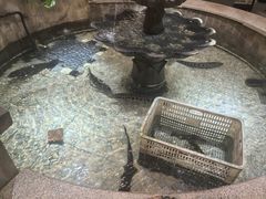 -万里闯关东铁锅炖菜馆(高新旗舰店)