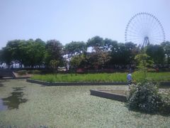-蠡湖大桥公园