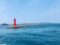 -西归浦每天偶来市场