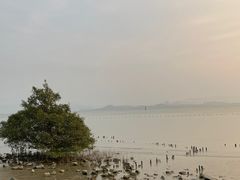 -深圳湾公园(南山区)
