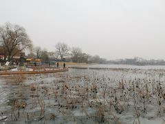 -后海公园