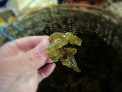 -德叔阙里·衢州菜馆(月湖店)