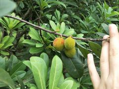 -艾溪湖湿地公园