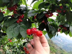 -樱桃山旅游景区