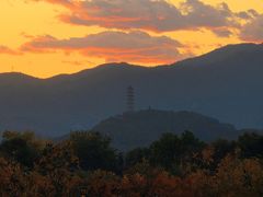 -龙湖星悦荟(颐和店)