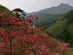 -木兰云雾山
