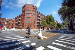 戛纳印象摄影工作室(南开定制店)-戛纳印象摄影(潮拍定制馆)