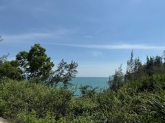 -广东惠东海龟国家级自然保护区