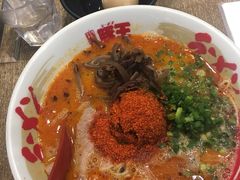 -豚王拉面(铜锣湾店 )