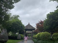 -宁波柏悦酒店·钱湖渔港