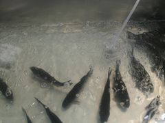 -京贸物联批发市场