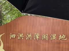 -泗洪洪泽湖湿地景区