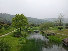 -龙寺生态园